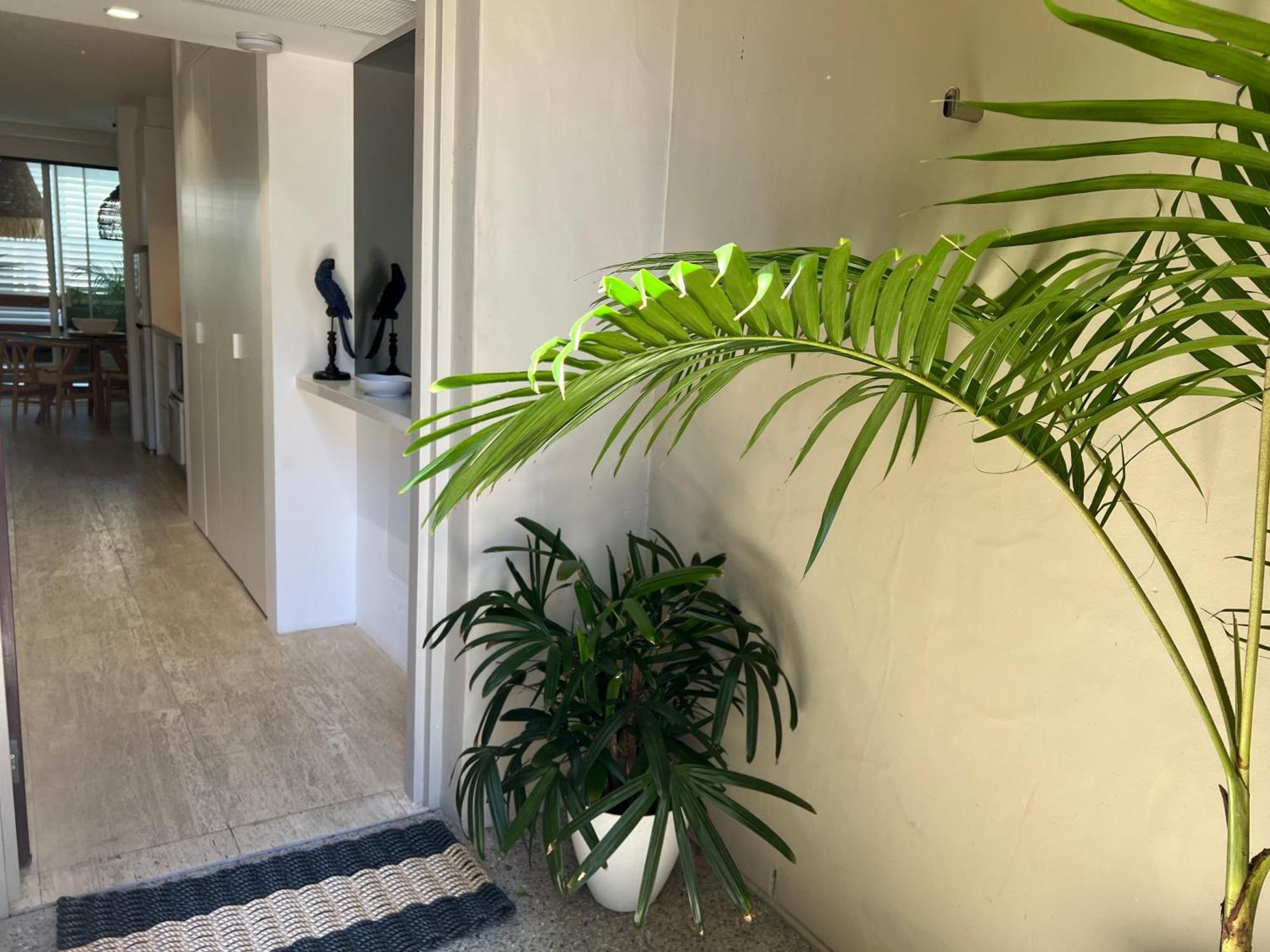 Carramah Noosa Heads Apartment Exteriör bild